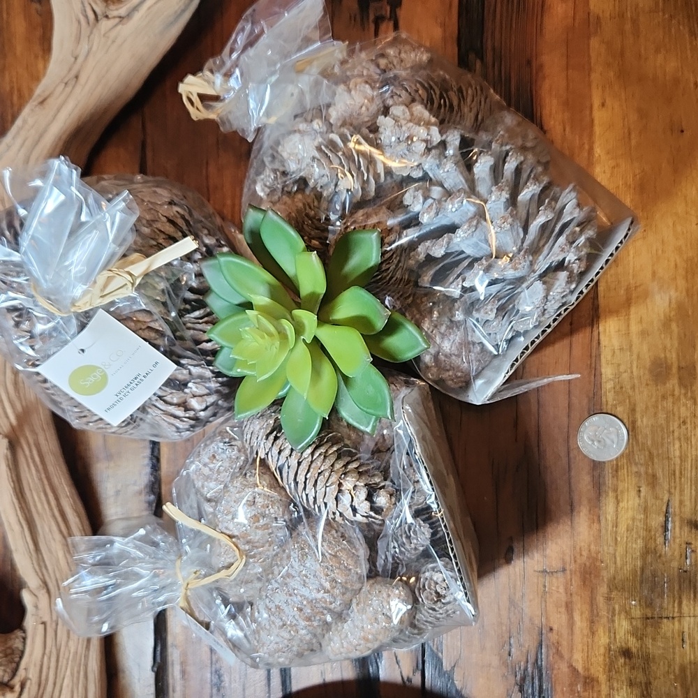 Decorative Frosted Pinecones - SET of 3